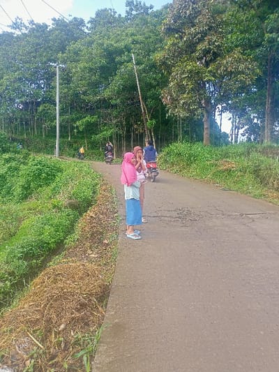 This media file captures a daytime scene on a paved road in Kecamatan Pangalengan, Indonesia. The road, which appears to be concrete or asphalt, curves gently through a verdant, semi-rural landscape.
In the foreground, slightly to the left of the center, two young girls are standing on the edge of the road. One girl, on the left, wears a pink hijab, a light blue long-sleeved top, and a long blue skirt, paired with light-colored sandals. She is smiling broadly. The other girl, positioned slightly behind and to her right, wears a brown hijab and a light-colored top. Both seem to be observing the road or interacting with each other.
Further down the road, in the mid-ground and background, several people are riding motorbikes. At least three motorbikes are visible, with riders and passengers, suggesting movement along the road. One motorbike in the immediate background to the right of the girls has a rider in a blue top. Another, further back on the left, has a rider in yellow.
The scene is dominated by lush green vegetation. Tall, slender trees with dense canopies line both sides of the road, suggesting a forested or planted area, possibly a plantation. The foreground to the left of the road features a bank covered in thick green foliage and some dry, brownish grass and brush. A tall utility pole stands on the left side of the road, and another wooden pole or branch leans diagonally across the road further in the distance.
The time of day is clearly daylight, with natural light illuminating the scene. The sky above is partly cloudy. There is no visible text on any objects or signs in the image. The overall atmosphere appears peaceful and rural.