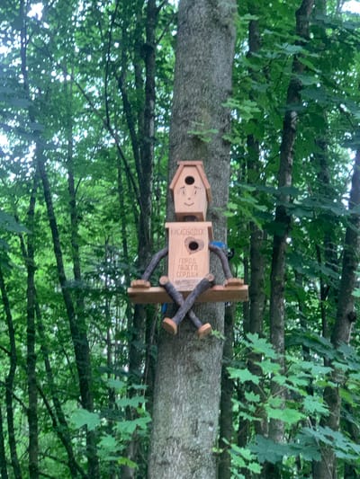 A handmade wooden birdhouse, designed to resemble a robot, is affixed to a tree trunk in a forest. The birdhouse has a face with drawn-on eyes and a smile, and its body is made of two stacked boxes. The lower box has two small wooden arms and legs, one leg crossed over the other to form a perch. The birdhouse is adorned with blue paint on its arms and with text in Russian that reads "KISLOVODSK" and "GOROD, V SEGO SERDTZA" (City, in its heart). The background is a dense forest with tall trees and lush green foliage, suggesting a natural outdoor environment. The lighting indicates it is daytime.