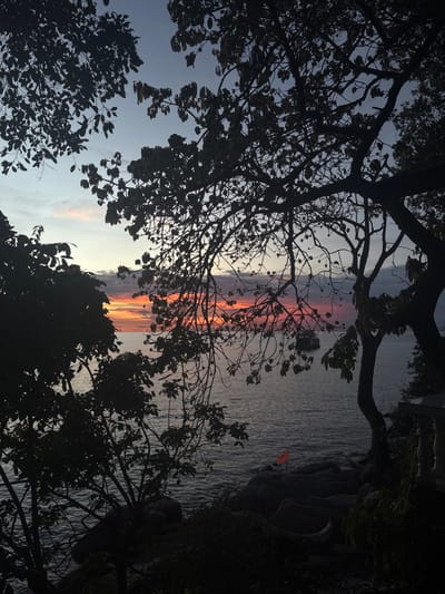 An outdoor scene captured at dusk on the island of Koh Tao, Thailand, presenting a view of the sea from an elevated position. The sky displays a gradient from pale blue at the top, transitioning into vibrant orange, red, and yellow sunset colors at the horizon, with dark scattered clouds partially obscuring the light. The foreground is heavily framed by the dark silhouettes of numerous trees and their foliage, with branches extending into the frame from the top, left, and right edges. The calm sea surface occupies the central and lower portions of the image, reflecting the low light and exhibiting subtle ripples. A large, dark-hulled vessel, resembling a multi-decked boat or ferry, is visible on the water towards the center-right, positioned against the horizon. Along the lower right edge, dark, irregular rock formations line the water's edge, upon which a small, bright orange triangular flag is planted. A portion of a white, column-like architectural element, possibly a baluster from a railing or terrace, is faintly visible on the far right edge of the image. No individuals are present in the scene.
