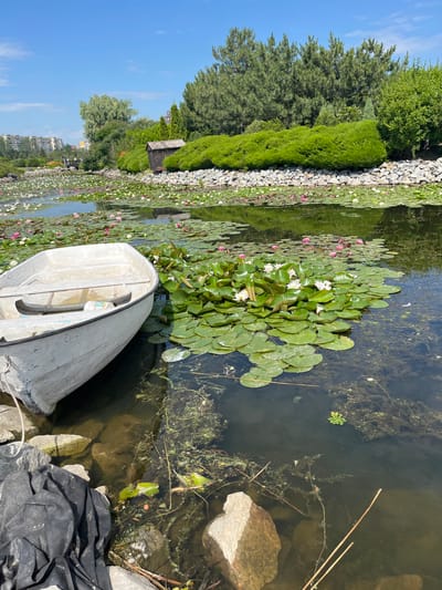 This is a photograph of a pond filled with water lilies and lily pads. In the foreground, a white rowboat is partially submerged at the edge of the pond, resting on rocks and black sheeting. The pond is surrounded by lush green vegetation, including trees and bushes. In the background, there are buildings and a clear blue sky. The scene appears to be a park or botanical garden. The location is identified as the Dnipro Botanical Garden in Dnipro, Ukraine. There are no people visible in the image.