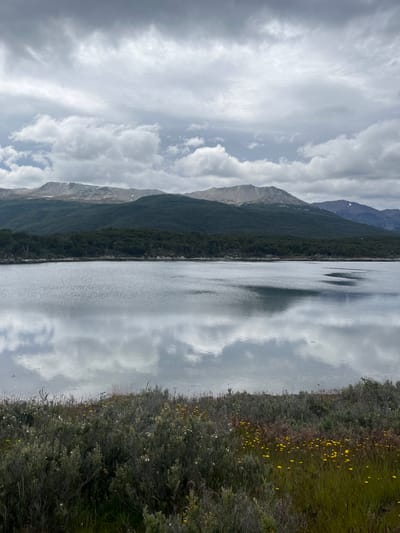The landscape features a body of water reflecting the sky's cloudy visage. Mountains rise on one side, their slopes covered in dense forest. The opposite bank is a mix of green grass dotted with small yellow flowers and denser shrubs. The sky is predominantly gray, filled with varied cloud formations that contribute to the reflection in the water, giving the scene a serene, almost mirrored effect.