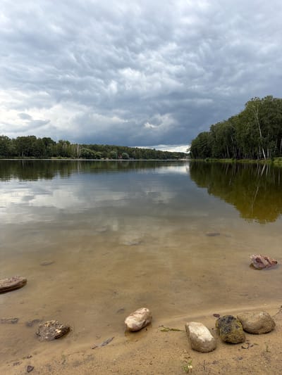 The image depicts a natural landscape scene at a lake in Malakhovka, Russia. The foreground shows a sandy shore with several rocks scattered on the beach and in the shallow water. Beyond the shore is a calm lake with reflections of the sky and the surrounding trees. The middle ground features a dense line of green trees and some distant buildings along the opposite bank of the lake. The sky above is overcast with dramatic, textured clouds. The overall impression is one of a tranquil, natural environment under a moody sky.