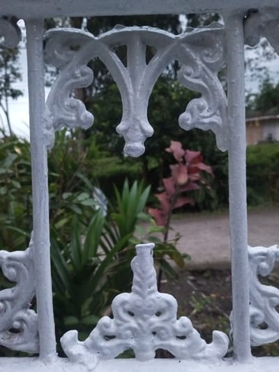 The image displays an outdoor scene in B. Nam Ngao, Laos, viewed through a white, ornate metal barrier in the foreground. This barrier, likely a section of a fence or gate, is out of focus and features vertical bars connected by intricate, curvilinear decorative elements, all painted in a somewhat uneven white finish. Beyond the barrier, the background consists of dense vegetation under an overcast sky. Visible elements include broad-leafed green plants in the midground and darker green trees further back. A plant with prominent reddish-purple foliage stands in the right-center portion of the background. A light-colored building, appearing off-white or light brown, is partially discernible in the far right background, partially obscured by the foliage. A segment of a dirt or gravel path extends across the lower midground. No individuals or discernible actions are present.