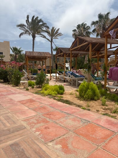 In Taguermess, Tunisia, a resort area features a tiled walkway in the foreground leading to a sandy area with loungers under thatched-roof cabanas. Palm trees and green foliage are visible. Several people are relaxing on loungers, some partially obscured by greenery or the cabana structures. One couple stands near a cabana, while others are seated or lying down. The sky is cloudy.