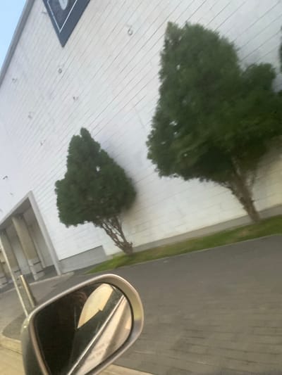 This is a ground-level, outdoor shot taken from a moving vehicle, looking towards a modern building with a white, corrugated facade. Two evergreen trees are visible in front of the building, with one positioned closer to the foreground and the other further back. A portion of a car's side mirror is in the lower left corner of the frame, reflecting the building and the sky. The ground in the foreground appears to be paved, with a strip of green grass separating it from the building. The scene is likely set in an urban or commercial area, possibly a shopping center or an office complex. There are no people visible in the image, and the overall mood is neutral and observational. The location in Kuchingoro, Nigeria, is an urban district within the Federal Capital Territory.