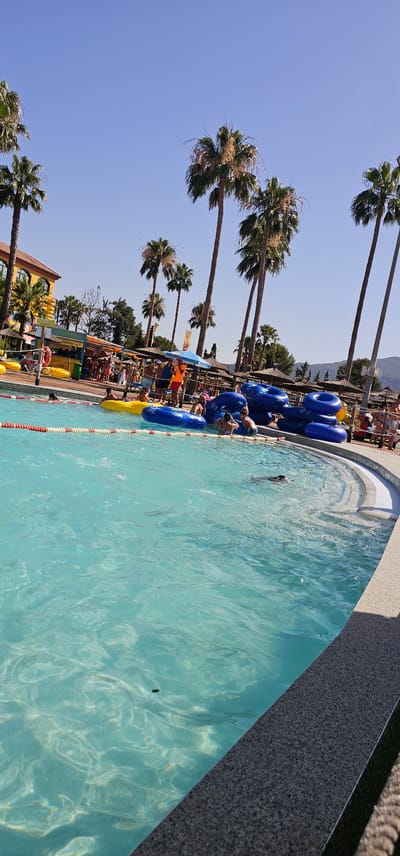 The image captures a vibrant, sunny day at a water park in Algeciras, Spain. The scene is dominated by a sparkling turquoise swimming pool, its surface shimmering with sunlight. Palm trees with lush green fronds are scattered throughout the background, their silhouettes contrasting against a clear, bright blue sky.

The poolside is bustling with activity. Several blue inflatable rings are neatly arranged along the edge of the pool, awaiting use. A few people are visible, some relaxing by the pool, others in the water. One individual is swimming in the pool, while others appear to be preparing to enter or exiting. The atmosphere suggests a leisurely and fun day, likely during peak summer season.

In the background, there are structures that seem to be part of the water park's amenities, including shaded areas with thatched roofs and buildings that might house shops or food stalls. The overall impression is one of a lively recreational area, filled with vacationers enjoying the warm weather and water attractions. The lighting indicates it is daytime, with the sun high in the sky, casting distinct shadows and highlighting the bright colors of the scene. The presence of palm trees strongly suggests a warm, possibly tropical or subtropical, climate. No visible text is discernible in the image.