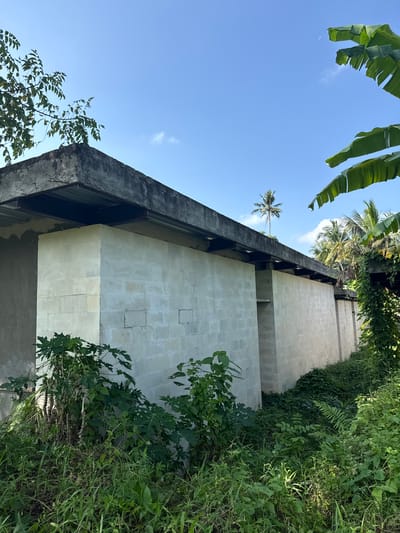 The image captures an exterior view of a building constructed with pale, rectangular blocks, possibly sandstone or limestone, located in Tampaksiring, Indonesia. The building features a rough concrete roof with exposed metal supports underneath. Lush green vegetation, including grass, leafy plants, and what appears to be papaya trees, surrounds the structure, partially obscuring its base. In the background, palm trees and other tropical foliage are visible against a clear blue sky with a few wispy clouds. The scene suggests an outdoor setting in a tropical environment, possibly during daytime given the bright sky. There are no people or animals present in the image.