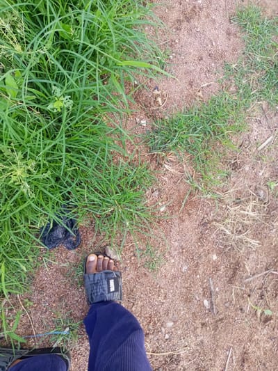 A person's left foot, wearing a black and gray patterned slide sandal and dark blue ribbed trousers, is positioned on a sandy ground with scattered grass and some dried leaves. The sandal strap has a white logo that is partially visible. Next to the foot, a clump of dark plastic waste is visible amongst the green grass. The background consists of more of the sandy ground and lush green grass, suggesting an outdoor environment, possibly in Zinna, Nigeria. The lighting suggests daytime.