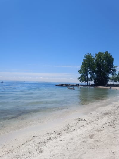 The image depicts a sunny day at a beach in Oakville, Canada. The scene captures a serene coastal environment with clear blue skies dominating the upper portion of the frame. The water is calm and shallow near the shore, with a sandy beach in the foreground. Several people are visible engaging in recreational activities. On the water, two individuals are on a paddleboard, and another small boat is present. Along the shoreline, a few people are gathered near large trees that line the edge of the beach. The location appears to be a park or recreational area, possibly part of Oakville's extensive waterfront. The overall impression is one of a tranquil summer day enjoyed by visitors at the beach.