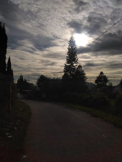 This image depicts a rural or semi-rural road scene within the city of Røros, Norway, under a mostly overcast sky. The sun, a brilliant disc, is partially obscured by clouds in the upper right quadrant, casting a strong backlight. A prominent, tall, slender coniferous tree stands silhouetted directly beneath the sun, its peak nearly touching the bright light source. A thin, dark power line extends diagonally from the upper right, passing in front of the sun and the tall tree, towards the mid-left.
The foreground features a dark, paved road that curves from the lower left towards the center and recedes into the distance. Dense, dark green foliage, including tall, columnar trees on the left and a mass of bushes and smaller trees on the right, lines both sides of the road. All vegetation and the road are heavily shadowed, appearing in silhouette due to the backlighting. No individuals, vehicles, or specific structures are discernibly visible within the scene, which is dominated by natural elements and atmospheric lighting.