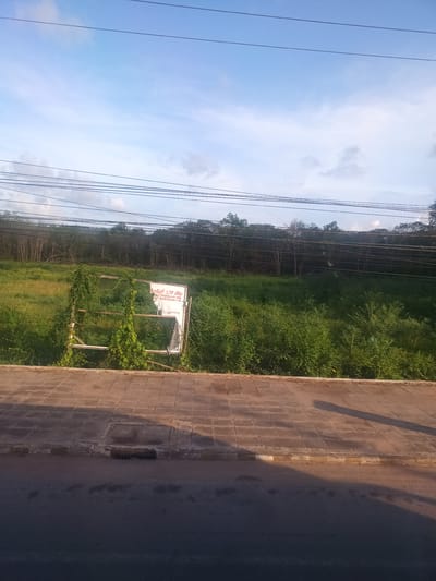 The image shows a roadside view in Pak Nam Chumphon, Thailand. A paved sidewalk borders a road. Beyond the sidewalk is a field of overgrown vegetation and trees. A sign, obscured by vines, is in the middle of the field. Overhead, power lines are visible against a blue sky with scattered clouds. The lower portion of the image shows the asphalt of the road. A long shadow is visible.