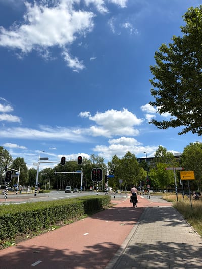 The image depicts a street scene in the city of Helmond, Netherlands, on a sunny day with a clear blue sky and scattered white clouds. A cyclist is riding on a dedicated red bike path, which runs parallel to a paved pedestrian walkway. The bike path is bordered by a manicured green hedge. In the background, traffic lights are visible, some showing red. Cars and a van are proceeding through an intersection. Trees line the street, and buildings are visible in the distance. A yellow directional sign with Dutch text indicating "omleiding" (detour) and "Houtsdonk-Noord Centrum" (Houtsdonk-North Center) with an arrow pointing left is mounted on a pole. A few individuals are seated near the walkway on the right side of the image.