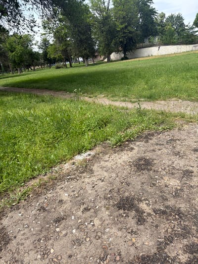 The image shows a view of the ground in an outdoor setting. On the right side of the image, there's a gravelly, dirt path. To the left of the path is a strip of grass with weeds growing. Further to the left, the scene opens up to a larger grassy area with trees visible in the background. In the distance, structures, including a light-colored building, can be seen behind the trees. The location is Dolna Mitropolia, Bulgaria. The image suggests a boundary between a path and a grassy area, possibly in a park or along the edge of a field.