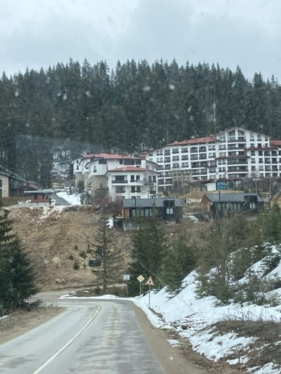 The image depicts a mountain resort scene in Stoikite, Bulgaria, on an overcast day with light precipitation. A wet, two-lane asphalt road with a broken white center line curves to the right and ascends slightly in the foreground. Patches of snow and bare earth line the road's shoulders. On the right, evergreen trees and snow are visible, alongside a yellow diamond-shaped "priority road" sign and a yellow triangular "other hazards" sign. On the left, a steep hillside covered in dry, light-brown grass and sparse small evergreen trees features a wooden sign reading "105 M / SKI" with an arrow.

In the mid-ground, several buildings are situated on the hillside. Two contemporary dark-colored buildings with large windows and dark roofs are positioned lower. Above and behind them, two clusters of larger, lighter-colored buildings are visible. To the left, a multi-story building with white walls, stone accents, red-tiled roofs, and arched details appears. A paved walkway leads to this area, where a single individual, wearing dark clothing, is standing near a smaller, modern structure with a flat roof. To the right, a significantly larger multi-story building, predominantly white with numerous balconies and a red-tiled roof, resembles a hotel or large apartment complex. The entire upper background is dominated by a dense, dark evergreen forest covering the mountain slope, extending to the horizon under a light gray sky.