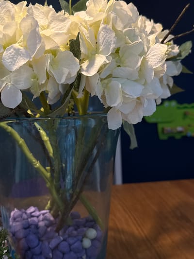 A still-life photograph captures a prominent display of white, possibly artificial, hydrangea-like flowers in a clear, rectangular glass vase. The flowers, with numerous small petals, occupy the left and central parts of the frame, showing some leafy green foliage interspersed among the blossoms.

Through the transparent glass of the vase, several green stems are visible, leading down to what appears to be a cluster of purple, pebble-like or bead-like artificial flowers or decorative elements, reminiscent of a grape hyacinth or similar flower type. Two small, white spherical objects rest near the top of this purple arrangement.

The background is dark blue, possibly a wall, with a bright green, irregular-shaped object visible on it, out of focus. To the right, a warm-toned wooden surface with a distinct vertical grain provides another background element. The lighting suggests an indoor setting, possibly under artificial light, casting some subtle shadows. No discernible activity or event is taking place, and there is no visible text. The overall scene suggests a decorative arrangement in an interior space.