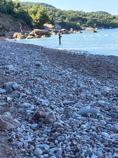A person stands in shallow water on a rocky beach in Rafailovići, Montenegro. The person, wearing dark swim trunks, is facing away from the camera. The beach is covered in numerous grey and brown pebbles of various sizes. In the background, the water is clear and blue, with a line of white buoys stretching across it. Beyond the water, a lush green hillside dotted with trees slopes upwards. The sky is clear and bright. The image appears to have been taken in the late afternoon or early evening, as indicated by the soft lighting.