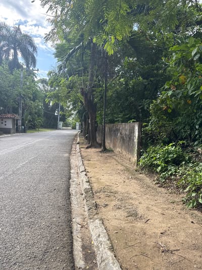 The image depicts a street in Cabarete, Dominican Republic. The road is asphalt, and the edges have a concrete curb, forming a gutter. To the left of the road, dense green vegetation and trees overhang, while a dirt path runs alongside the concrete curb on the right side of the image. The vegetation is a mix of shrubs and trees. A concrete structure is visible near the vegetation on the left side of the path. A palm tree is visible in the distance, along with what appears to be a building on the left. The sky is visible through gaps in the trees, showing a mix of blue sky and white clouds. Utility poles and wires are also seen through the trees.