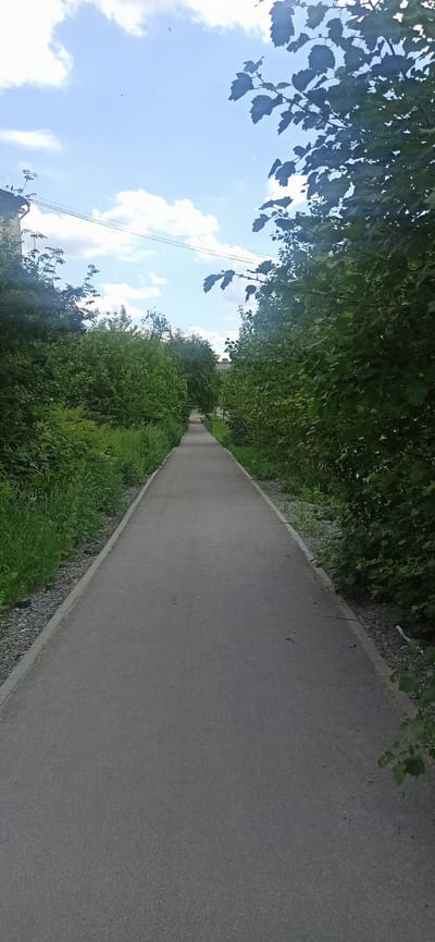 The image depicts a paved walking or biking path surrounded by lush green foliage. The path is grey and appears to be made of asphalt, with a gravel border on one side. Dense green trees and bushes line the path, creating a tunnel-like effect as it recedes into the distance. The sky above is a bright blue with scattered white clouds. Sunlight filters through the leaves, casting dappled shadows on the path. A few power lines are visible against the sky, suggesting the proximity of a town or infrastructure. In the far distance, a building or structure can be faintly seen peeking through the trees. The overall scene is peaceful and natural, evoking a sense of tranquility. The image is a landscape, likely taken during the daytime on a clear day, as indicated by the bright sky and sunshine. There is no visible text in the image.