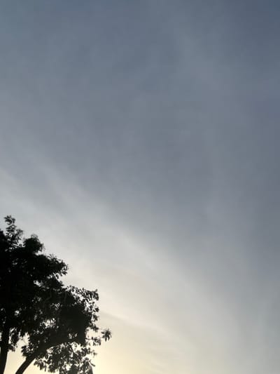 The image shows the sky with a tree silhouetted against it. The sky is mostly overcast with some patches of lighter clouds. The sun is visible as a bright, washed-out area on the right side of the frame, suggesting it is either sunrise or sunset. The tree is dark and appears to be in motion, possibly due to wind. Its branches are spread out, with leaves visible against the sky. The overall mood is somewhat dramatic, with the contrast between the dark tree and the bright sky. The setting appears to be outdoors, with the tree likely in a natural or semi-natural environment. There is no visible text in the image. The location context of Angwan Sayawa, Nigeria, indicates a likely tropical or sub-tropical climate, which aligns with the presence of a leafy tree. The time of day is likely around dawn or dusk, given the lighting conditions.
