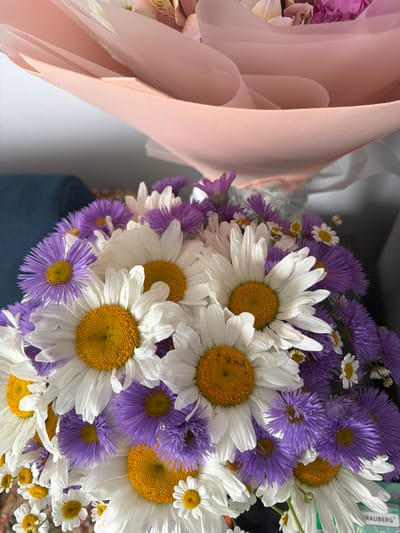 A bouquet of flowers, featuring white daisies with yellow centers and small purple aster-like flowers, is presented. The bouquet is partially wrapped in soft pink paper and white tissue paper. A blurry blue object, possibly furniture, is visible in the background. The scene is indoors, with a white wall and a hint of a shelf or surface. The image provides no information about the city of Ust'-Dzhigutinka, Russia, or any people, actions, or interactions.