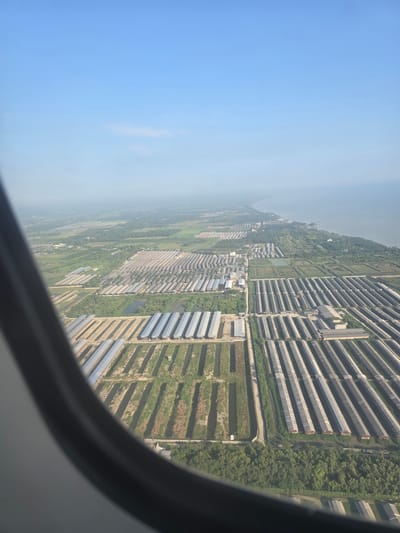 An aerial view captures a vast agricultural or aquaculture complex in Paluh Sibaji, Indonesia. The scene is dominated by numerous long, rectangular structures with silver, sloped roofs, arranged in parallel rows. These structures appear to be greenhouses, animal shelters, or aquaculture ponds. Interspersed between these buildings are areas of green vegetation, some appearing to be cultivated fields or natural growth, and bodies of water, possibly canals or ponds. The complex stretches towards a coastline where a body of water, likely the sea, is visible. The sky is a clear, pale blue, with a slight haze blurring the distant landscape. The foreground is partially obscured by the dark curvature of an aircraft window. No people are visible in the image.