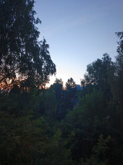 The image captures a serene twilight scene in the city of Tomsk, Russia, likely from a residential area. A dense canopy of trees dominates the foreground, their dark silhouettes sharply outlined against the fading light of the sky. Through breaks in the foliage, a multi-story apartment building is visible in the mid-ground, its windows reflecting the soft glow of the setting sun. The sky above is a gradient of pale blue and hints of orange, typical of dusk. The overall impression is one of urban tranquility, with nature encroaching on the man-made structures.