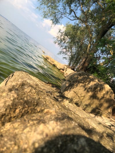 The image shows a body of water with ripples, likely a lake or river, under a partly cloudy sky. In the foreground, large rocks are present, with the closest one appearing textured and light brown. Beyond the rocks, a fallen tree trunk stretches across the bank and into the water. Lush green foliage and tree branches are visible on the right side of the frame, with the trunk of a large tree leaning over the scene. The lighting suggests it is daytime, with shadows cast by the trees onto the rocks. The image is taken from a low angle, looking across the water towards the tree line. The location is identified as Nahirne, Ukraine. There are no people or actions depicted in the image.