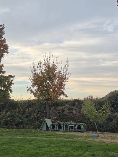 The image depicts a rural landscape. In the foreground, there's a grassy area. Next to it, a row of green dog houses are lined up against a green hedge. A small tree with sparse leaves stands near the dog houses. The sky is overcast with clouds. The location is likely Puente Alto, Chile, although there's no specific evidence in the image to confirm this. There are no people visible in the image.