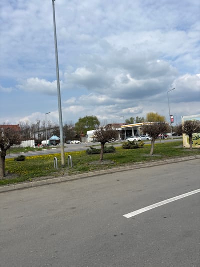 The image shows a scene along a road in Tunari, Romania. A Shell gas station is visible. The roadside features a grassy area with dandelions and young trees. A grey asphalt road runs parallel, marked with a white line. A tall, metal light pole extends into the cloudy sky. Cars and trucks are parked near the gas station.