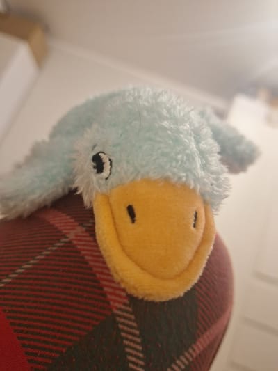 A close-up, slightly angled, shallow depth of field shot shows a light blue, fluffy plush toy duck with a bright yellow beak and two small black embroidered eyes, resting on a red and black plaid patterned surface. The toy's head is turned slightly to the left. The background is blurred and appears to be a light-colored wall with some white furniture. The location is not discernible from the image.