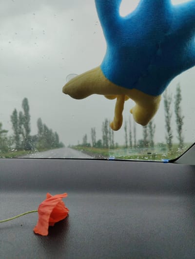 The image displays an interior perspective from a vehicle looking out through a rain-streaked windshield. In the lower left foreground, resting on a dark, textured dashboard surface, is a single, wilted orange-red poppy flower with a thin green stem extending to the left.

The windshield is covered with numerous clear water droplets of varying sizes, indicating rain. In the upper right quadrant, a plush toy, partially visible, hangs from the interior of the windshield. The toy has a blue upper section and a yellow lower section, appearing to be a stylized hand or limb, and is attached by a clear suction cup.

Through the rain-speckled windshield, the background reveals a straight asphalt road receding into the distance under an overcast, light grey sky. The road appears wet. On both sides of the road, rows of tall, slender trees, possibly poplars, are visible, appearing somewhat blurred due to distance and focus.

The image does not contain any discernible geographic markers, signage, or unique architectural features that would allow for specific identification of a location within the city of Slyvyne, Ukraine, or any other precise geographical point.