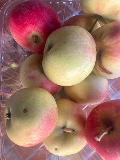 A close-up, overhead view shows a collection of apples piled in a clear plastic container. The apples vary in color, with some predominantly red and others a pale yellow-green with red blush. Several apples have small brown spots and some have visible stems. The background consists of the transparent container, which shows a ribbed texture. The lighting suggests an indoor setting, possibly with ambient light causing some colorful reflections on the plastic. No people are visible, and the scene is a still life of fruit. There is no visible text in the image. The location context provided is Qoyankus, Kazakhstan, which does not have any direct visual cues within the image itself.