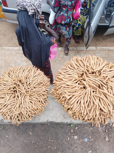 At eye level, a high-angle shot captures a scene in Oja Oba, Oko Erin, Nigeria. In the foreground, two large piles of dried cassava roots are displayed on a concrete surface. The roots are a light brown color and are arranged in a circular fashion. Behind the cassava, a woman wearing a black hijab and a dark-colored dress stands, partially obscured by the cassava piles. Her right hand is raised and she is holding something. To the right of the cassava, a silver car with its door open is visible. A second woman, wearing a brightly colored traditional Nigerian dress and headscarf, stands near the car. Her left arm is extended and she is holding a pink bag. The ground is a mix of dirt and gravel. The overall impression is that of a market stall selling dried cassava.