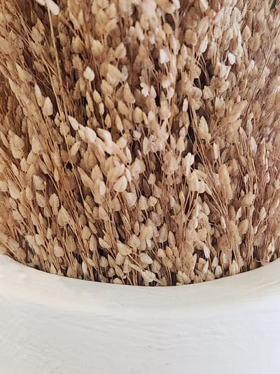 The media file is a close-up, overhead shot of dried plant material, possibly ornamental grass or seed heads, contained within a white, curved object. The plant material is densely packed and appears to be a uniform light brown or beige color, with delicate, feathery textures. The stems are thin and brown, crisscrossing and supporting the dried seed heads. The white object, which occupies the right side of the frame, has a smooth, matte surface and a curved, organic shape, suggesting it could be a vase, planter, or part of a larger sculptural element. The lighting is soft and diffused, with no harsh shadows, indicating an indoor setting or an overcast day. There is no visible text or any indication of people, animals, or specific events. The overall impression is one of natural texture and muted tones. The location context of Maitland, United States of America, does not provide specific visual cues within the image itself.