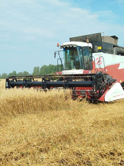 A red and white combine harvester is operating in a field of dry, golden grain, likely wheat or barley, under a clear blue sky with scattered clouds. The combine has a large cutting head at the front, and its exhaust pipe is visible at the back. The text "DOSTSELSMASH" and "Power Stream 700" are visible on the machine. The harvested crop is lying in rows behind the combine. The location is described as Урожайный, Russia, a rural area, indicated by the agricultural setting. No people are clearly visible in the image, though a person is implied to be operating the combine from within the cabin. The environment is a sun-drenched agricultural field during harvest season.