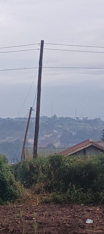 A rural landscape with two wooden utility poles dominating the foreground. One pole appears to be partially broken. Overhead wires stretch across the sky, connecting to the poles. A low building with a corrugated metal roof is partially obscured by dense green vegetation. In the background, a hazy cityscape is visible, with distant towers punctuating the skyline under a cloudy sky. The foreground is dirt and small plants and a piece of white trash.