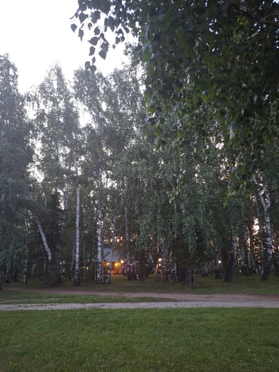 The image depicts a park-like setting in Atamanovka, Russia, likely during twilight or early evening. The foreground is dominated by a well-maintained lawn with scattered small white flowers. A paved pathway, constructed of interlocked concrete blocks, runs horizontally across the mid-ground, separating the lawn from a dirt path beyond.
Behind the paths, a dense stand of birch trees forms a natural barrier. Their distinctive white and black bark is visible, and their leaves are a vibrant green, suggesting a temperate season. Sunlight or artificial lighting filters through the trees, creating a dappled effect and illuminating parts of the forest floor.
In the distance, nestled amongst the trees, a small building or gazebo is visible. It is illuminated by warm, yellow lights, and decorative colored lights are also present, suggesting a gathering or event is taking place. The overall atmosphere is serene and natural, with hints of human activity in the background. The sky is overcast and appears light, indicating the end of daylight.