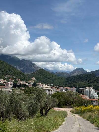 The image presents a mountainous landscape with a path and urban structures in the city of Medinski Krš, Montenegro. The foreground features a partially overgrown path lined with trees and greenery. Adjacent to the path, a dense urban area is visible, comprising multi-story buildings and smaller residences interspersed with trees. In the background, mountains covered in dense forest rise against a partly cloudy sky. The sky dominates the top left portion of the image.