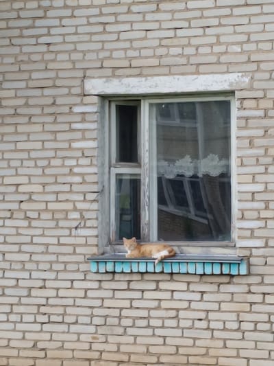 A ginger cat is resting on a windowsill outside a brick building. The cat is lying down with its head turned towards the viewer, looking alert. The building has light-colored bricks and a window with white trim. Inside the window, white lace curtains are visible. The windowsill is painted blue and has decorative details. The scene appears to be outdoors during the daytime, with natural light illuminating the cat and building. The overall impression is peaceful and domestic, suggesting a common sight in a residential area. The image was taken in Sharkawshchyna, Belarus.