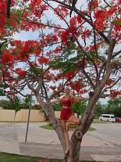 A blonde woman in a red athletic outfit is posed in a tree with vibrant red flowers. She is balanced on the tree trunk, with her legs spread and arms extended to the sides. Her left leg is bent and tucked behind the right, which is extended upwards. The tree is large with a thick trunk and branches, covered in bright red flowers and green leaves. The background shows a pale yellow wall, palm trees, a gray asphalt road with yellow markings, and parked vehicles, including a white van and a red car. The scene appears to be an outdoor area in Cancún, Mexico.