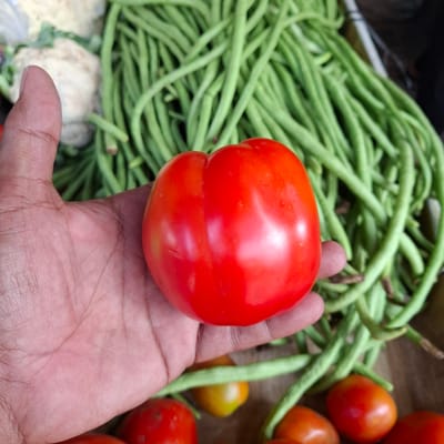 A close-up, waist-level, medium shot captures a person's open palm holding a bright red, plump tomato. The hand, with visible lines and pores, is positioned in the foreground. In the blurred background, a mound of fresh, long green beans dominates the scene, with hints of cauliflower and other round red tomatoes visible at the bottom. The overall impression is of a fresh produce display.