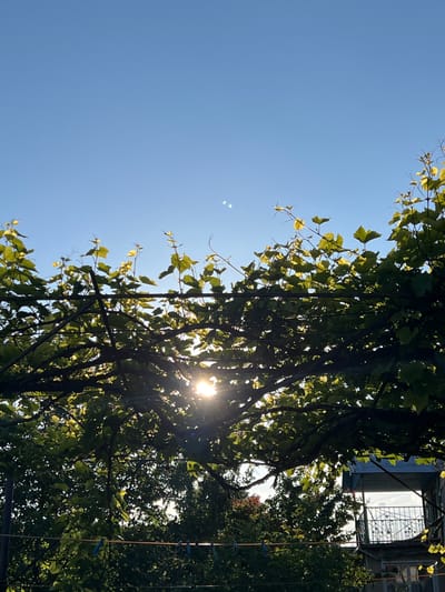 The image captures a sunny day in Ilavche, Ukraine, with the sun shining through the leaves of a vine. The sky is a clear blue. In the foreground, branches of a vine covered with green leaves are visible, with sunlight filtering through them. In the background, there is a house with a balcony and a window. A clothesline with clothespins is strung across the lower part of the image, with laundry clipped to it. The scene is natural and peaceful, with no people present.