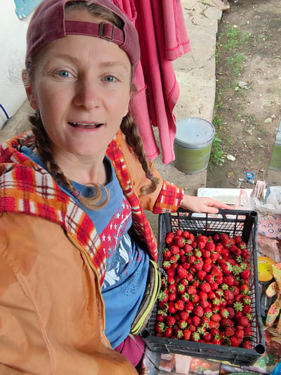 In a scene suggesting a rural or suburban setting within Зуйское сельское поселение, Ukraine, a woman with light skin and blue eyes, wearing a maroon baseball cap and a plaid jacket over a blue t-shirt, poses for a selfie. Her hair is styled in two braids. She is positioned in front of a weathered concrete structure, with a pink garment hanging behind her. To her right, a black plastic crate overflows with ripe strawberries. Adjacent to the crate, a white surface, possibly a table, is visible, with various items including a yellow smiley face sticker and patterned fabric. In the background, the ground appears to be unpaved dirt with sparse vegetation, and a grey plastic barrel is situated near the concrete. A blue faucet with a red handle is also visible. The overall impression is a candid moment captured outdoors, likely during a harvest or market activity.