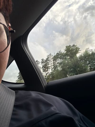 This is a point-of-view photograph taken from inside a vehicle, likely in Frillesås, Sweden. The camera is positioned to capture the view out of the rear passenger window, with the top of the passenger's head and shoulder in the foreground. The passenger is wearing glasses and appears to have dark hair. Their clothing is a dark blue jacket or shirt, with a grey fabric visible on the left side, possibly a seatbelt.
Through the window, a cloudy sky is visible, with hints of sunlight breaking through. A line of tall, green trees, likely pines, stretches across the midground. The trees are slightly blurred, suggesting motion. The interior of the car is dark, with the black plastic trim of the car's interior framing the view. A faint label with text, potentially a car window sticker, is visible on the glass. The overall impression is of a journey through a natural landscape on a partly cloudy day.