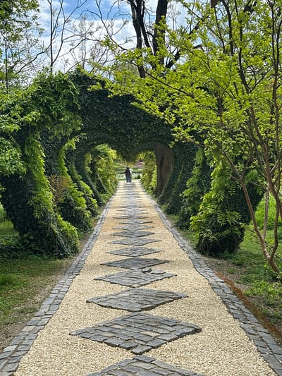 The image shows a gravel path leading through a green tunnel of vegetation, likely a garden. The path is bordered by a decorative pattern of dark stones inlaid into the gravel. The tunnel is formed by dense foliage covering an archway structure. Bare tree branches are visible above the tunnel's entrance against a partly cloudy sky. A person is walking in the distance along the path, appearing as a small figure in the background. This is the Nicolae Romanescu Park in Craiova, Romania.