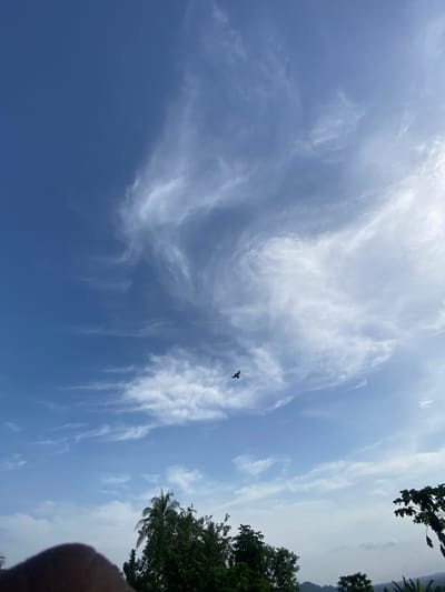 The image shows a view of the sky above what appears to be Ufueseni, Nigeria. Cirrus clouds are present, swirling in a spiral pattern. A single bird is flying. Trees with green foliage are visible in the top right portion of the frame. A small coconut tree is included among the trees.
