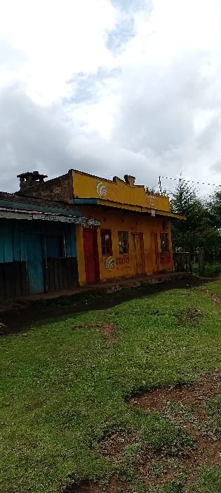 The scene is set in Gatakaine, Kenya, under an overcast sky. Two single-story buildings stand side-by-side. The structure on the left features a weathered blue wooden facade and a dark roof with a visible chimney or vent pipe. The adjacent, more prominent building on the right has a yellow-painted facade with a stepped parapet roofline. This yellow building contains four openings: a red door on the far left, two barred windows separated by a central red door, and another red door on the far right. Two distinct "CooP O" logos are visible on the yellow facade, one below the left window and another above the right section of the building. Faded text is present above the central door. A thin, dark utility line extends horizontally from above the right side of the yellow building. The foreground consists of green grass interspersed with patches of dark, exposed soil. To the right of the buildings, dense green trees and foliage are visible. No individuals, vehicles, or animals are present in the image, and no active interactions or actions are depicted.