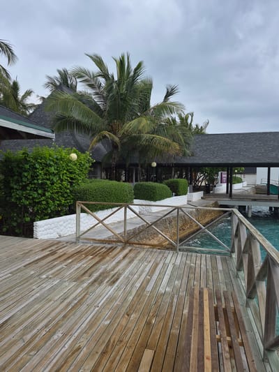 The image shows a wooden deck overlooking the ocean in Huraa, Maldives. The deck has a metal railing and a set of wooden stairs leading to the water. There are several buildings in the background with gray shingled roofs, partially obscured by lush green vegetation including palm trees and sculpted hedges. The sky is overcast. The boardwalk appears wet, indicating recent rain or high humidity.