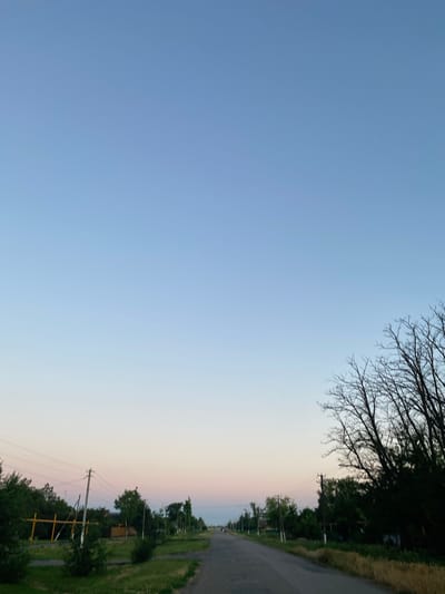 This image captures a serene, rural landscape at dusk in Repyakhovka, Russia. The sky dominates the left side of the frame, transitioning from a clear, pale blue at the top to a soft blend of pink and white near the horizon, suggesting the end of a clear day.
On the right side of the image, a paved road curves gently into the distance, bordered by lush green grass and dense trees. Bare branches of a deciduous tree reach in from the top right corner, creating a stark silhouette against the sky, hinting at the transition between seasons or the early morning/late evening light.
Several utility poles with wires are visible along the roadside, indicating a settled area. Amidst the trees, glimpses of structures, possibly houses or outbuildings, can be seen. The overall atmosphere is peaceful and tranquil, evoking a sense of quiet solitude. The time of day is clearly indicated by the soft, diffused light and the gradient of colors in the sky. No text is visible in the image.
