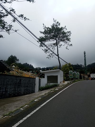 The image displays a roadside view in Bangtsho, Bhutan, under a heavily overcast sky. An asphalt road, marked with a solid white edge line, curves from the lower right towards the upper right. A concrete curb separates the road from an elevated concrete pathway on the left. Along this pathway, a dark gray wall, marked with patterns, is topped by what appears to be a security barrier. Behind this wall, a yellow building is adorned with multi-colored decorative elements, and a white dome structure is partially visible. A small, white rectangular building with a dark, recessed window opening stands on the pathway, partially obscured by green foliage. A tall, slender pine tree grows immediately behind this white structure. Multiple black utility lines stretch horizontally across the upper mid-ground, passing behind the pine tree. Further along the road to the right, three vertical green signs are positioned, followed by a prominent green lattice telecommunications tower. A white truck is partially visible on the road in the far right mid-ground. The background comprises dense, forested hills, partially enveloped by low-lying fog or clouds. No individuals are visible.